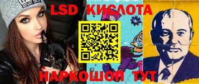 ALPHA PVP Гусев
