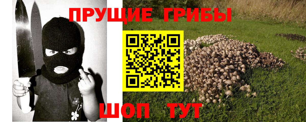 Галлюциногенные грибы Cubensis Копейск