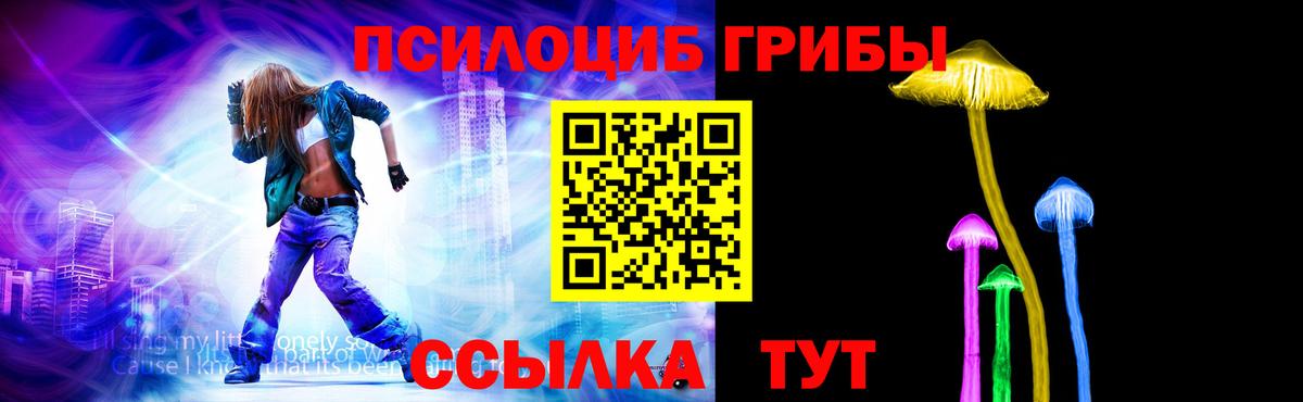 как найти   Псилоцибиновые грибы ЛСД  Вход с VPN  Копейск 
